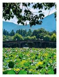 杭州旅遊攻略