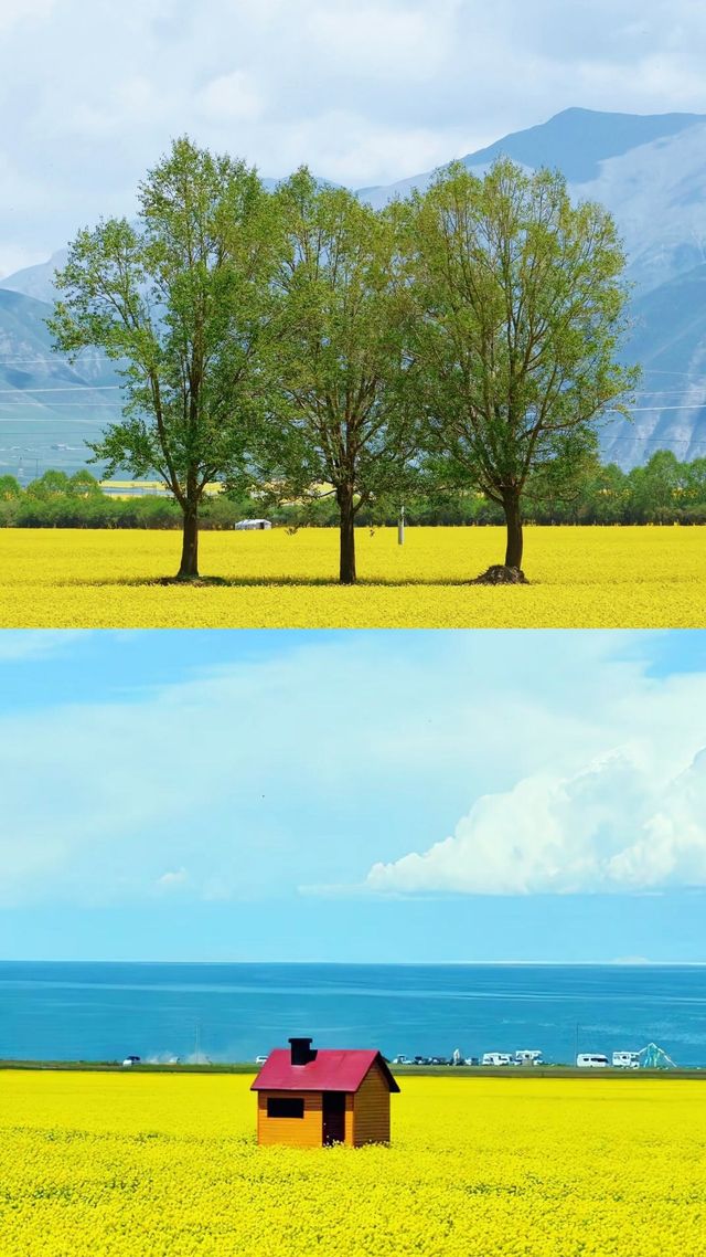 夏日自駕遊三大清涼勝地推薦