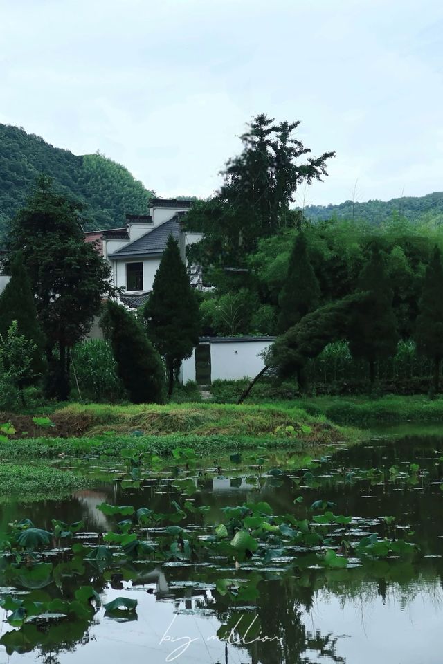 被端午嘅皖南震撼到，話好嘅暴雨呢…