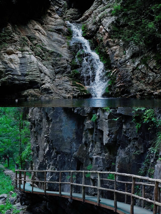 夏日清新 獨愛天津！走，週末，天津見