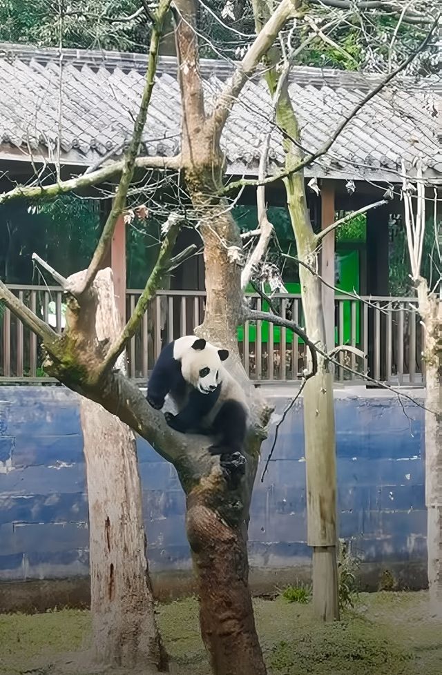 碧峰峽私藏小眾玩法