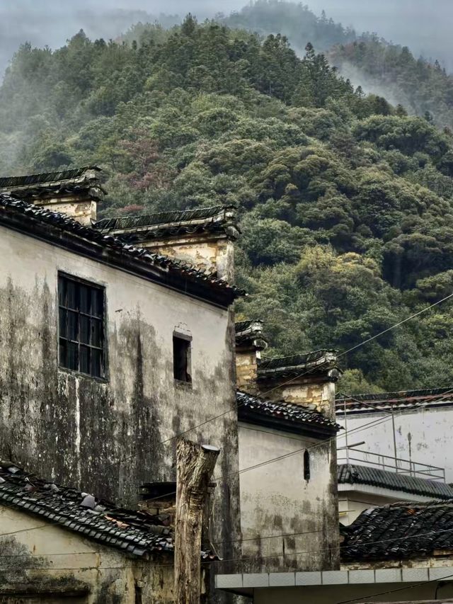 探秘上坦村，邂逅水墨江南