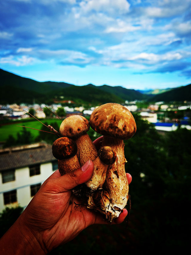 麗江寧蒗稻古民宿，山野慢時光的溫柔邂逅