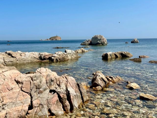 去咗4次養馬島，終於玩明白晒！