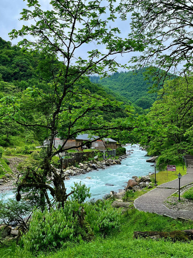 成都3h直達|23℃森林裡找到避暑天堂！