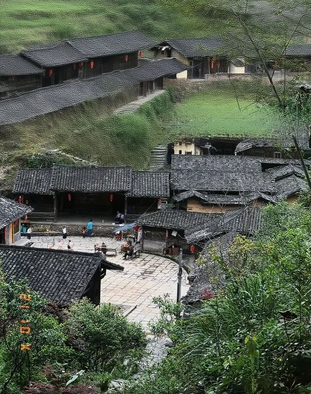 八百年無蚊傳奇！丁屋嶺：深山裡的客家避世秘笈