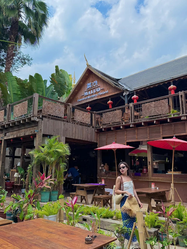 西雙版納旅遊真係快樂到飛起！暖到入心仲有靚景美食🌴