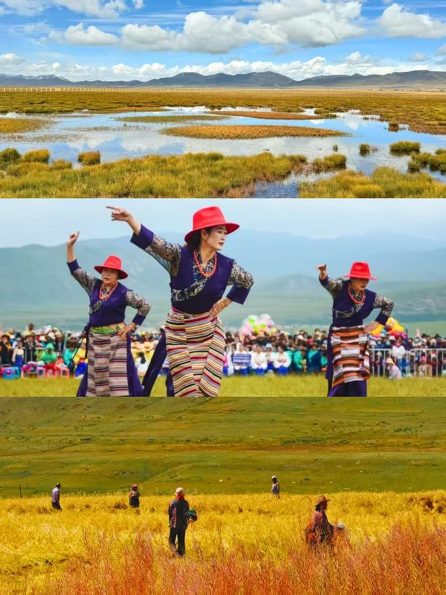 秋天甘南旅遊推薦