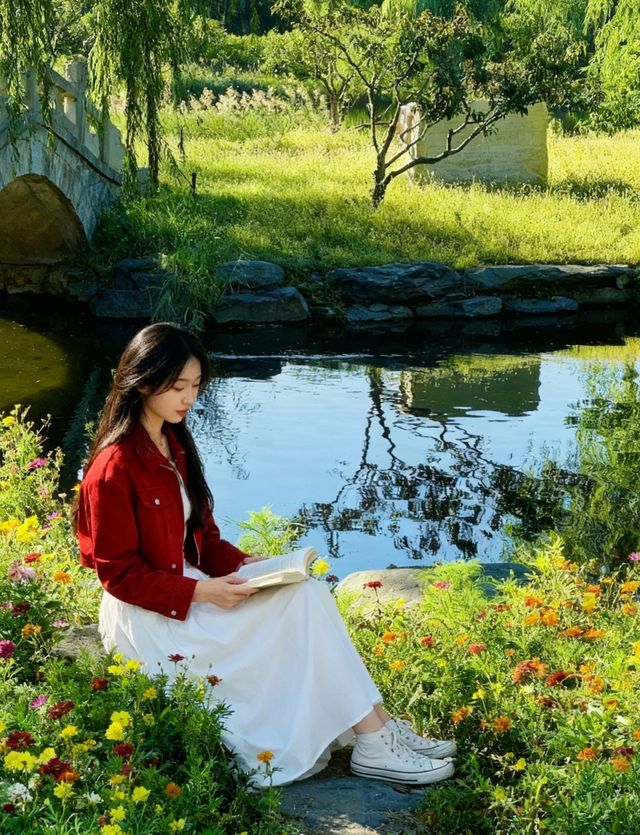 圓明園花海暴擊！一不小心闖進莫奈油畫世界