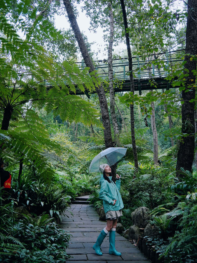 在成都！！唯一想去無數次的森林公園！！！