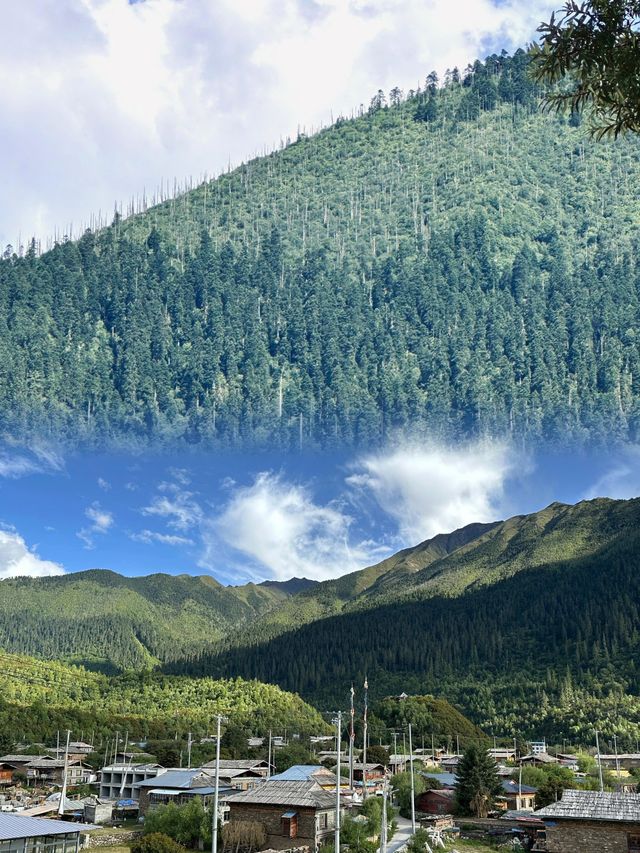 來一場誤入仙境的林芝之旅吧！