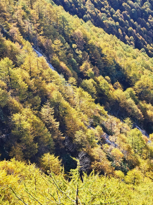 仙境太白山徒步路線