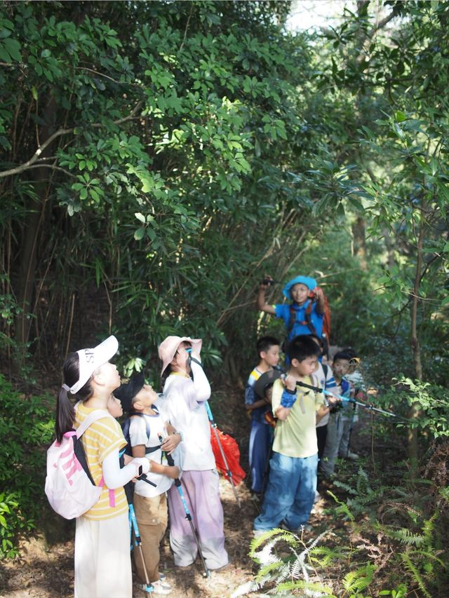 野路子徒步！記山野裡衝衝衝的少年們