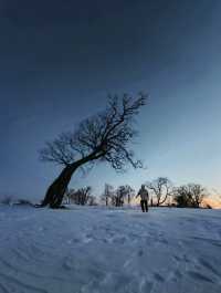 雪嶺凝霜綴瓊枝，尚志霧淞赴一場冬日詩行