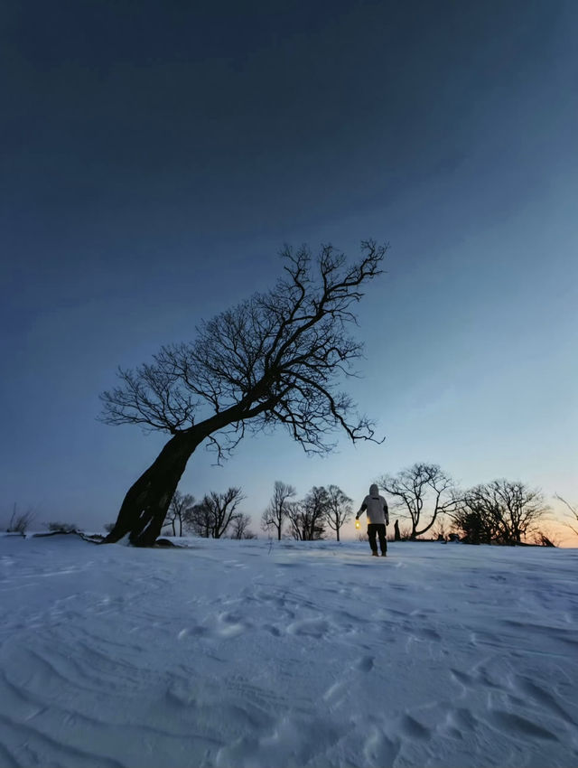 雪嶺凝霜綴瓊枝，尚志霧淞赴一場冬日詩行