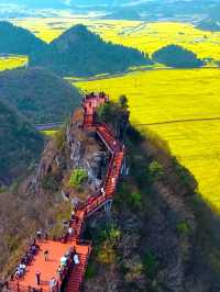 金秋曲靖，上帝打翻調色盤，山水間的治癒之旅！