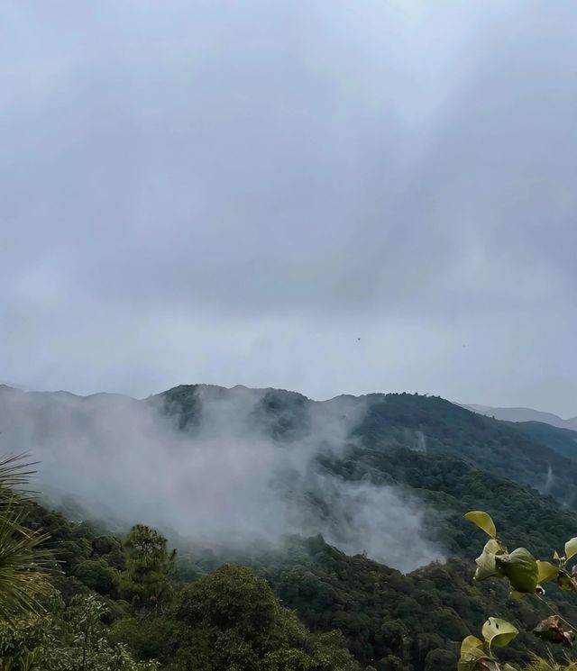 臨滄秘境｜五老山瀑布下偶遇彩虹！雲南小眾森系天花板  五老山C位出道！原始森林+飛瀑銀河美到窒息