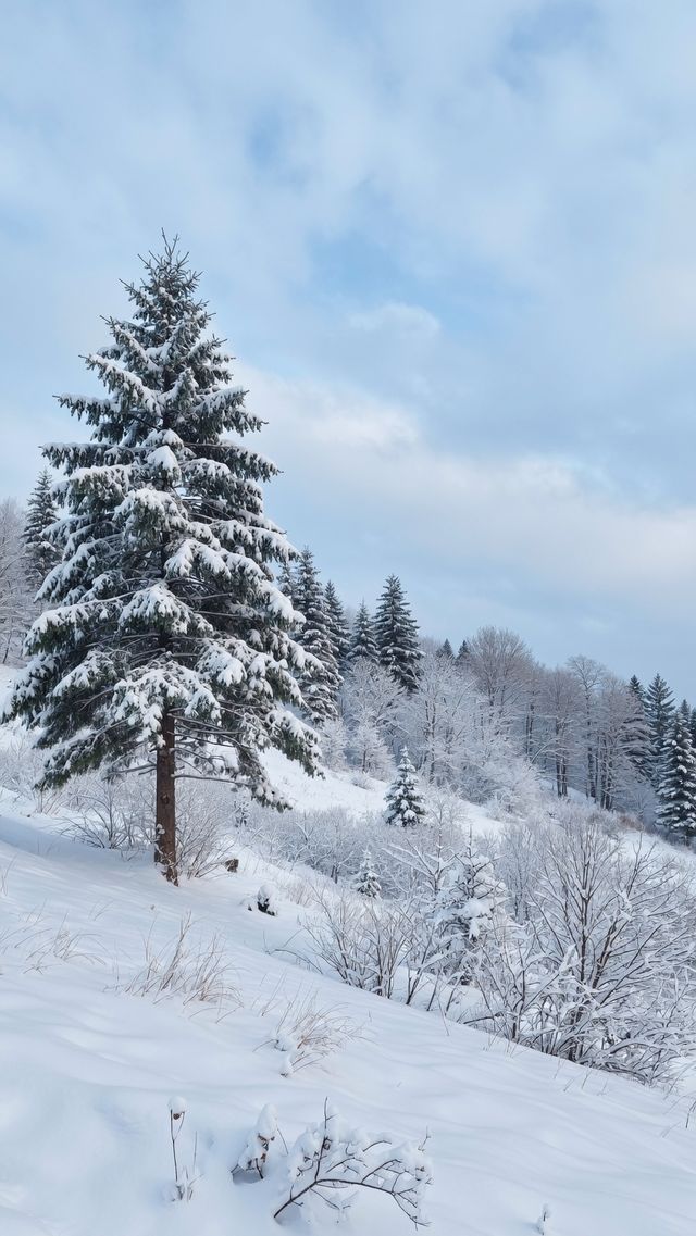 看嵩山雪景，約嗎