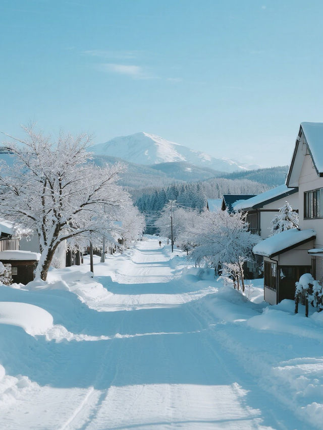 冬日北海道｜在雪與溫泉的童話裡，邂逅北國的溫柔詩篇