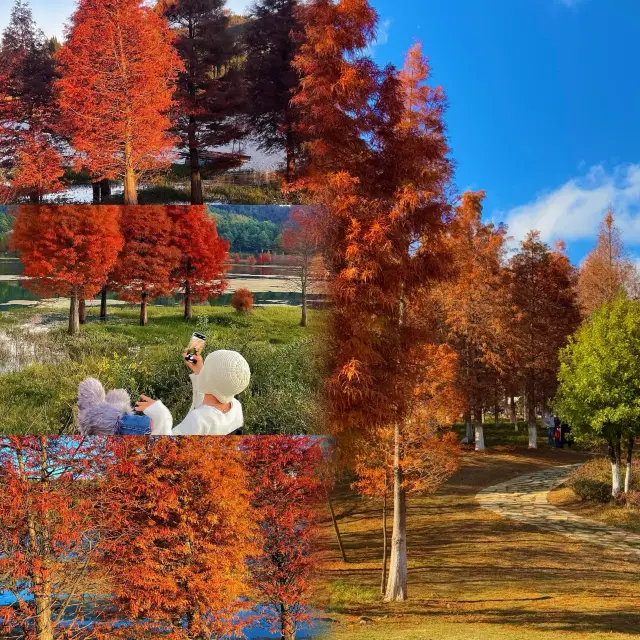 Kunming hides 14 free hidden gems! 