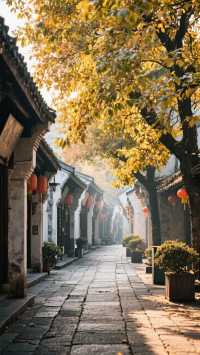 帶上家人來金秋福建三天兩晚，體驗山海與古韻的邂逅！