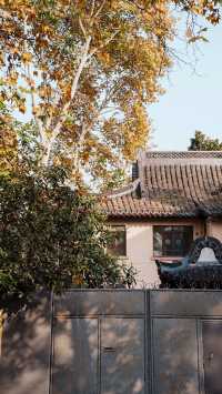 頤和路：一步一景，走入民國舊夢