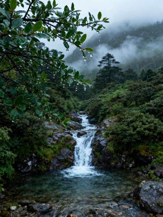 蒼山:在雲與雪的褶皺裡,遇見大理的靈魂 蒼山:在雲與雪的褶皺裡,遇見大理的靈魂