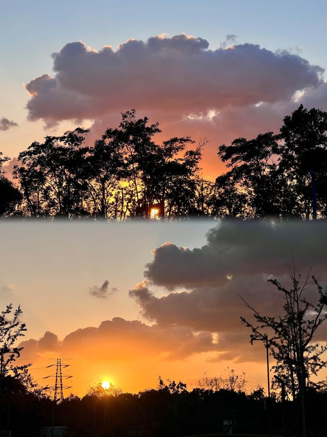 魔都10月頂流濱江森林公園粉黛乱子草美到窒息附保姆級攻略 魔都10月頂流濱江森林公園粉黛乱子草美到窒息附保姆級攻略