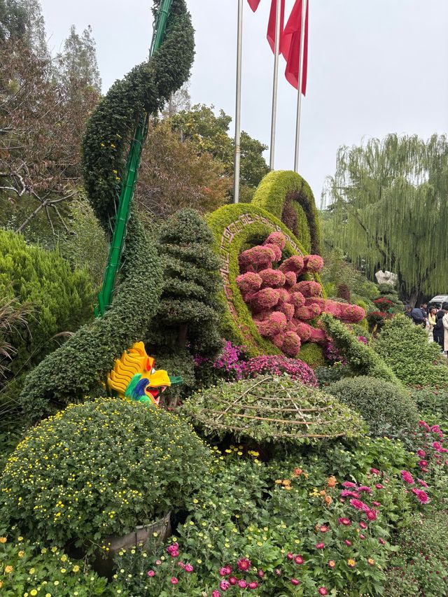 泉水菊花共賞秋日好時光 泉水菊花共賞秋日好時光