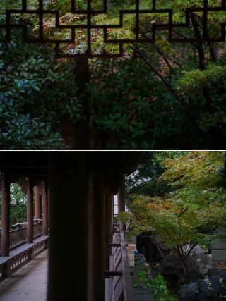 Qiandao Lake Autumn Viewing Highlight | When Autumn Meets Ancient Architecture