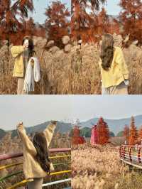 已經開始期待深秋的紹興了！「附地址」