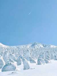 日本東北秘境！冬季限定小眾路線大公開