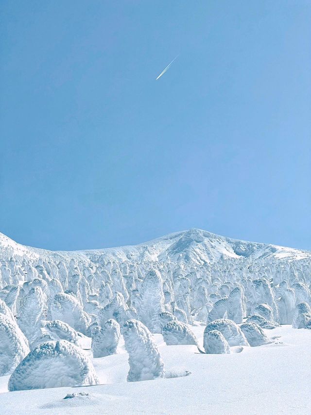 日本東北秘境！冬季限定小眾路線大公開