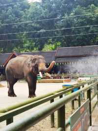 西雙版納三日遊