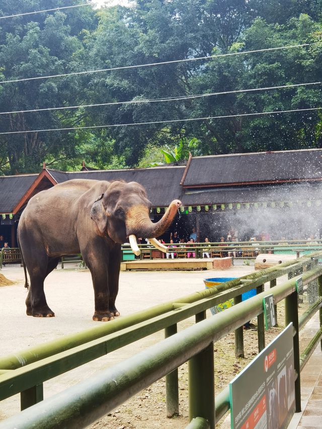西雙版納三日遊 西雙版納三日遊