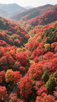 紅葉谷_您值得一去的地方!來了定不後悔!