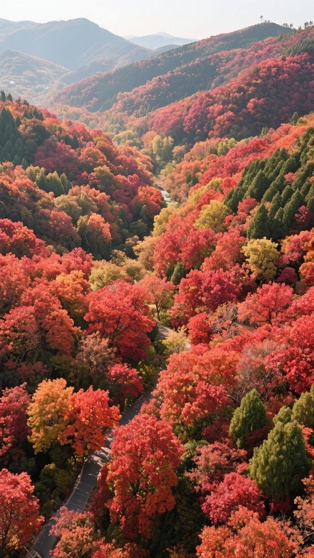 紅葉谷_您值得一去的地方!來了定不後悔! 紅葉谷_您值得一去的地方!來了定不後悔!