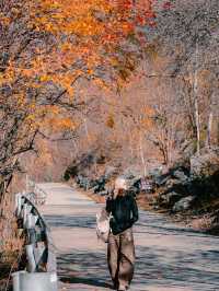 來回9小時，值回票價到喊晒！松坪溝嘅秋天簡直係神級啦