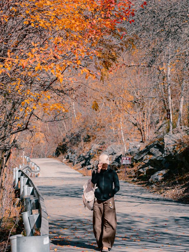 來回9小時，值回票價到喊晒！松坪溝嘅秋天簡直係神級啦