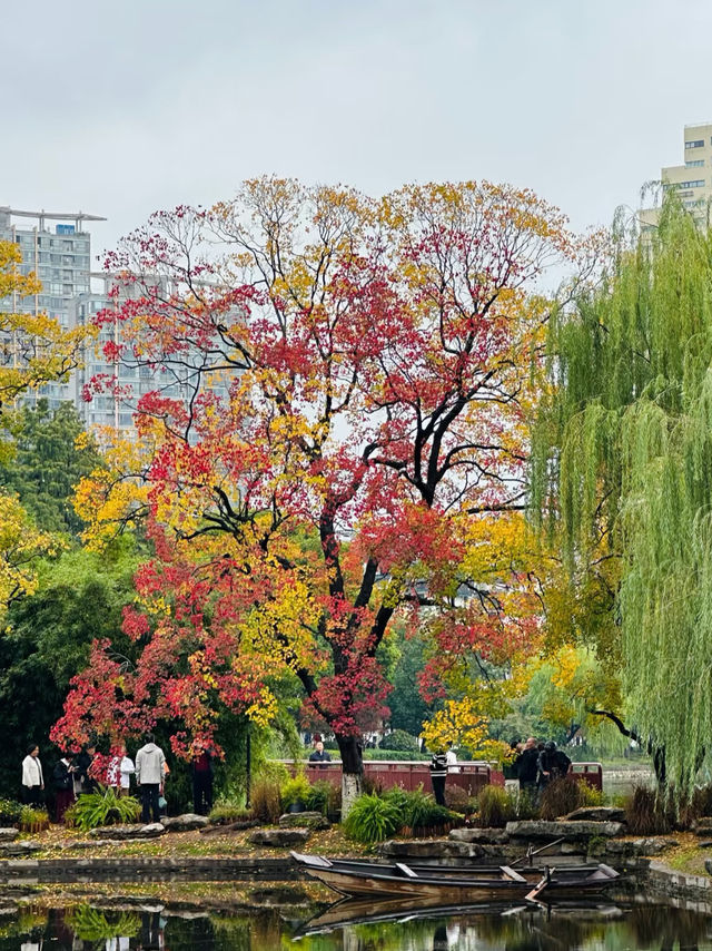 南京莫愁湖已美成油畫了