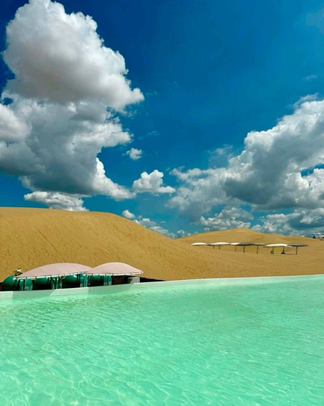 沙漠騎駝走天涯