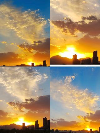 Dead Wood Meets Spring