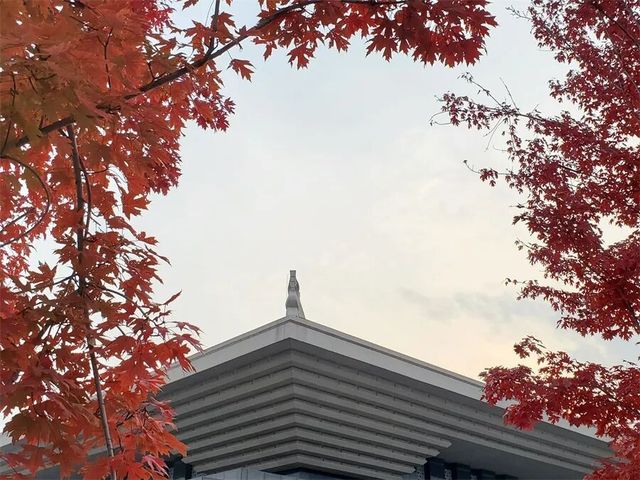孔子博物館初冬色彩盛宴