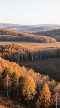 11月的塞罕壩四天三晚,玩轉北國初冬!