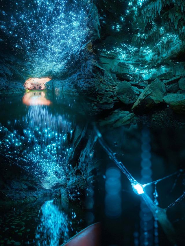 新西蘭懷托摩螢火蟲洞|闖入地下銀河的奇幻攻略 新西蘭懷托摩螢火蟲洞|闖入地下銀河的奇幻攻略