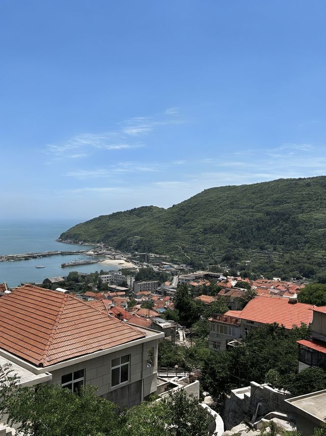 青島1日包車遊省心又盡興