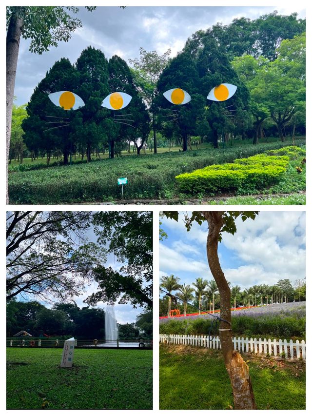 《廣東隱藏的「遛娃天堂」！20元和海獅貼臉殺，78元玩遍動物