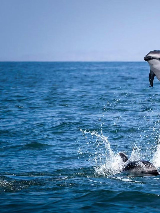 聖誕捡漏斐濟Lomani現房速衝 聖誕捡漏斐濟Lomani現房速衝