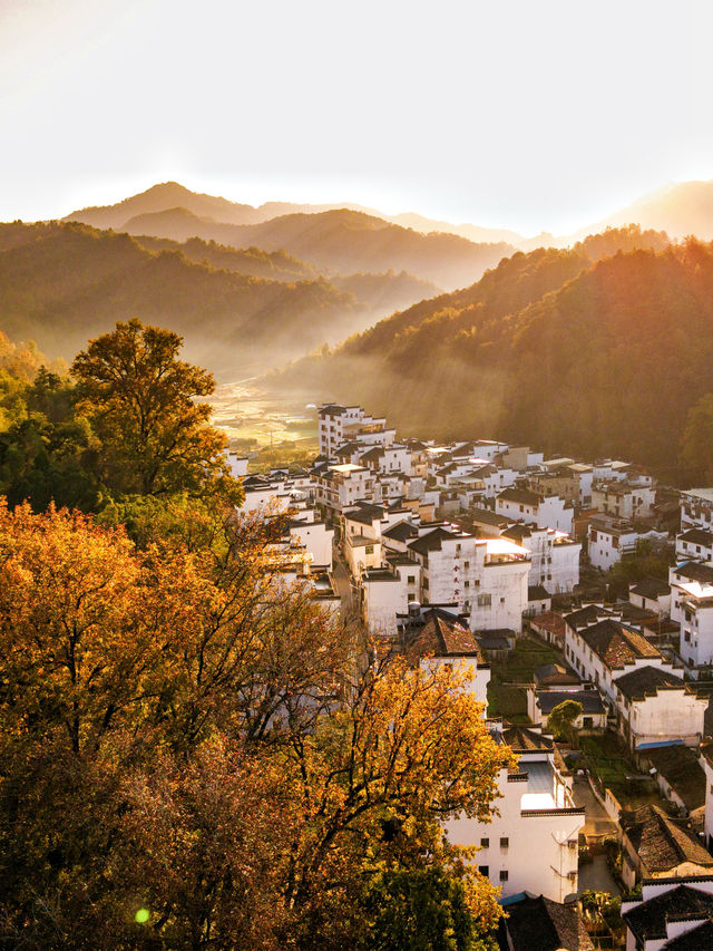 11月後來我逢人便說，婺源的秋景有多美