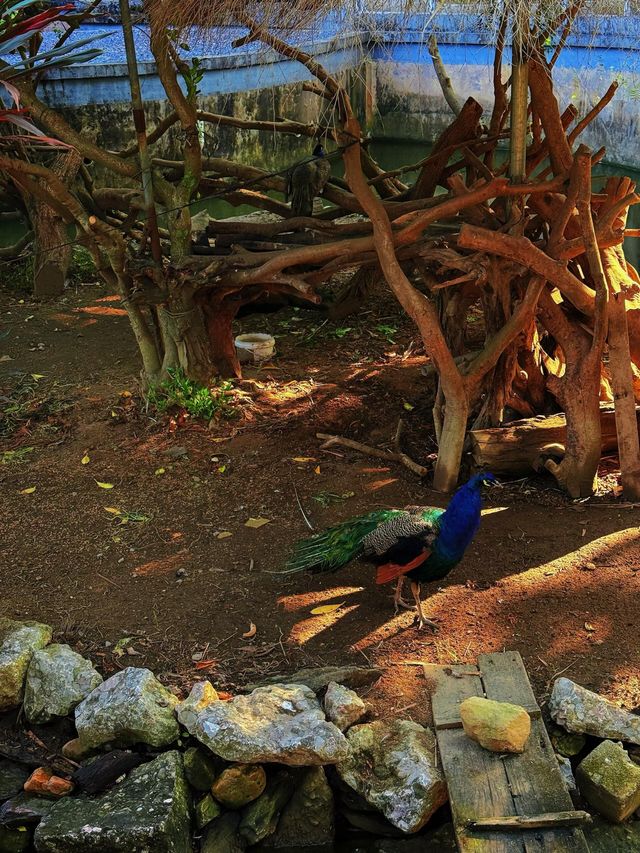 廣州4號線藏了一座「魔幻莊園」闖進末日科幻片 人少景美! 廣州4號線藏了一座「魔幻莊園」闖進末日科幻片 人少景美!